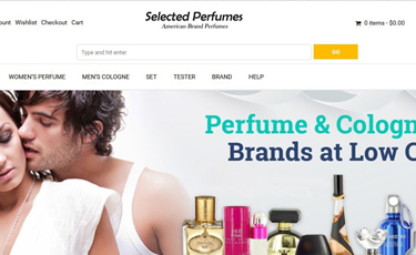 website design & development in florida