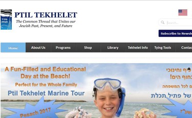 website design & development in florida